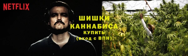 дмт Балабаново