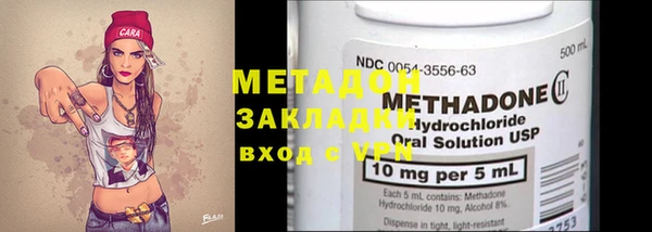 прущие грибы Аркадак